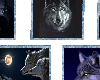 ! 5 Wolf Pictures 2 !