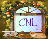 [CNL] Fall frame 1