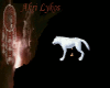 White wolf pet