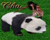 Cha`Zoo Ani Panda
