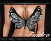 Butterfly bttm RL DER