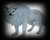 Polar Wolf Pose