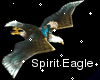 !S!Flying Spirit Eagle