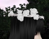 White Roses Crown