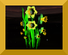 Daffodils avatar