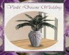 ~VD~Potted Fern