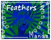 .M. Peacock Feathers 2