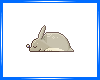 Sleeping Totoro Animated