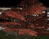 fall Lighted Tree