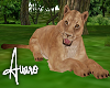 Lioness Animated