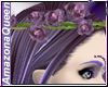 )o( Purple Rose Crown