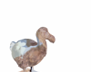 DODO Bird