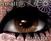 *n* -small- brown /F