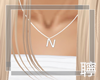 聹△ N Necklace