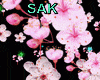 Sakura Light Effects