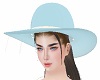 VC Blue Hats