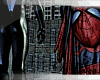 SpiderMan/Venom Portrait