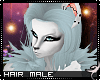 !F:Aslan: Hair M v2