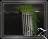 ~Z~Cherish Planter 3
