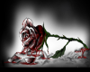 blood rose