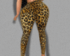 Animal {LLXL}