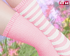 w. Pink/White Socks M