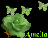 [Sin] Amelia