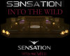 sensation into the wild 