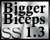 *SS Biceps Scaler 1.3