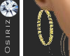 :0zi: V2 D-Earrings
