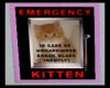 Emergency Kitten Picture