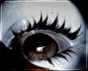 eyes