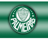 Camisete Palmeiras