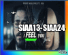 ♫ SIAA13-SIAA24  BOX 2