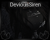 'DS Chaos Fur F