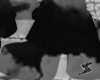 ★ Bow Boot ★
