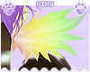 "V|Panchi WingsV2