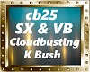 Cloudbusting - SX & VB