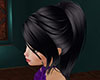 BBG Ponytail Black