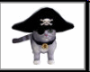 Animated Pirate Cat