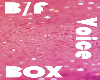 B/F Fun!  Voice Box