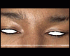Asteri Fix/Asteri Brows