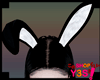 Bunny Ears - drv (M/F)