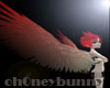 a_nimated wings1