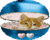 sticker cat