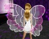 ~TQ~purple butterfly