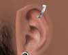 Asteri Pierce R
