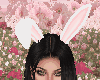 Easter Ears White