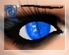 dark blue cat eyes