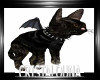 Black bat cat  anim+ sd